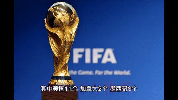 2026世界杯预选赛球员最新伤情动态
